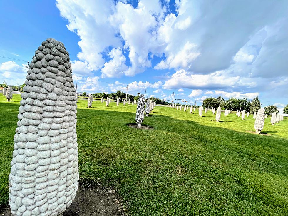  It's Corn! Check Out This Quirky Ohio Roadside Attraction