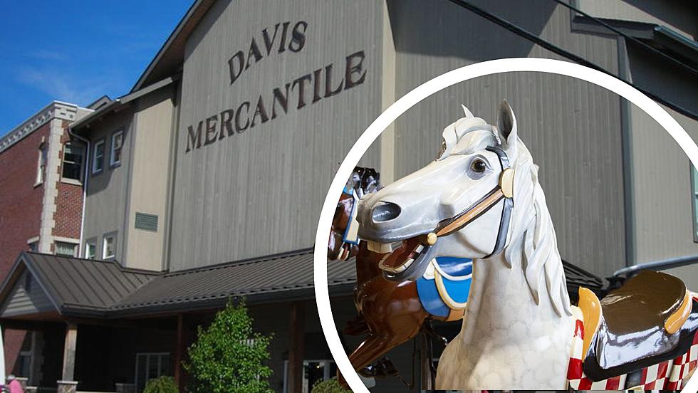 Shipshewana, Indiana: Discover Amish Heritage & Carousel Magic at Davis Mercantile