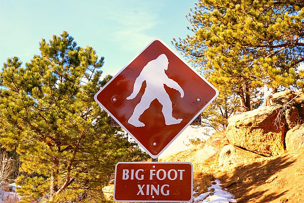 Viral Photo Shows KY Man Standing Next to Bigfoot &#8212; Don&#8217;t Fall for It