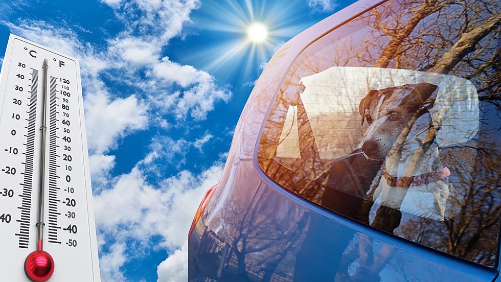 It is Legal to Break a Car Window to Rescue a Dog from the Heat in KY, IN, and IL?