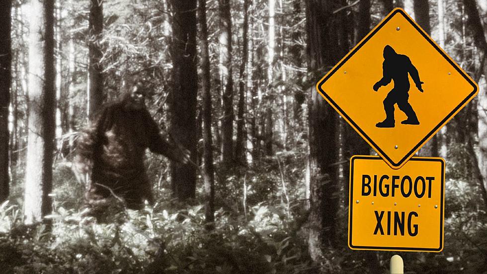Discover Bigfoot: Join Expert Sasquatch Scholar Charlie Raymond