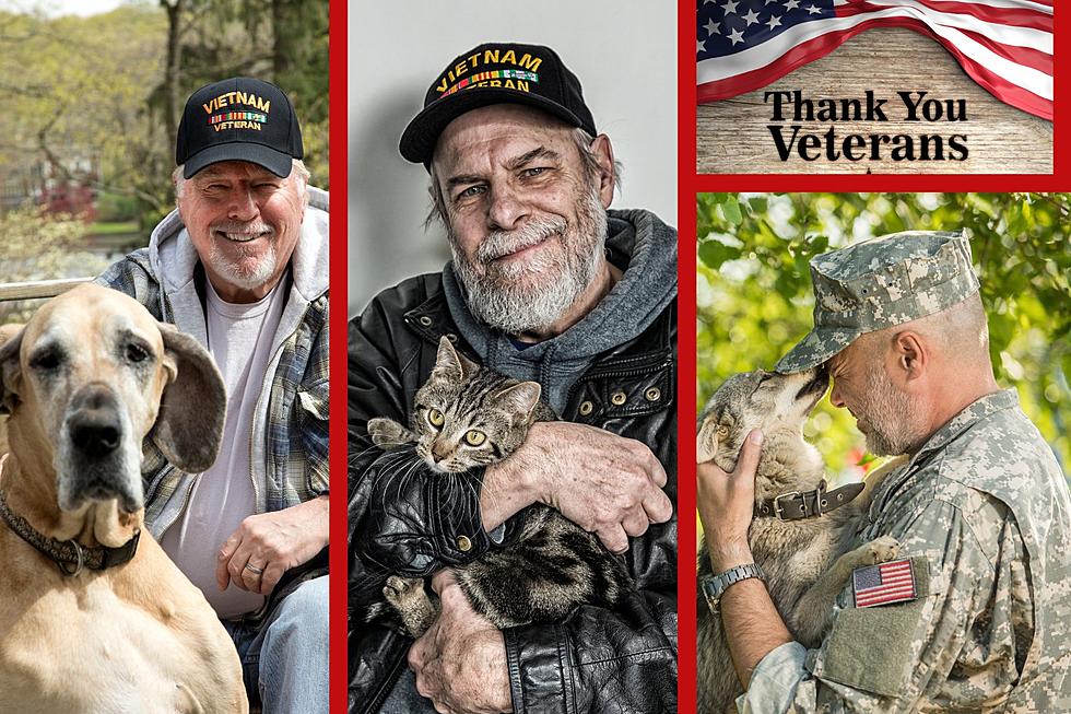 Local Veterans Can Adopt Adorable Shelter Animals for Free