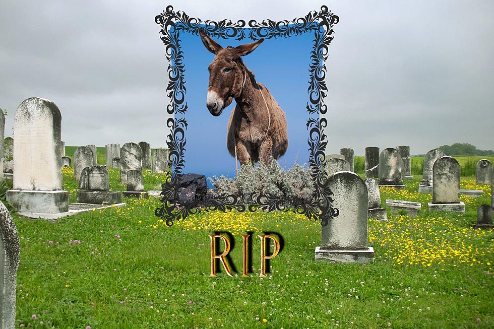 Here’s Why a Mule Has a Special Resting Place at a KY Cemetery