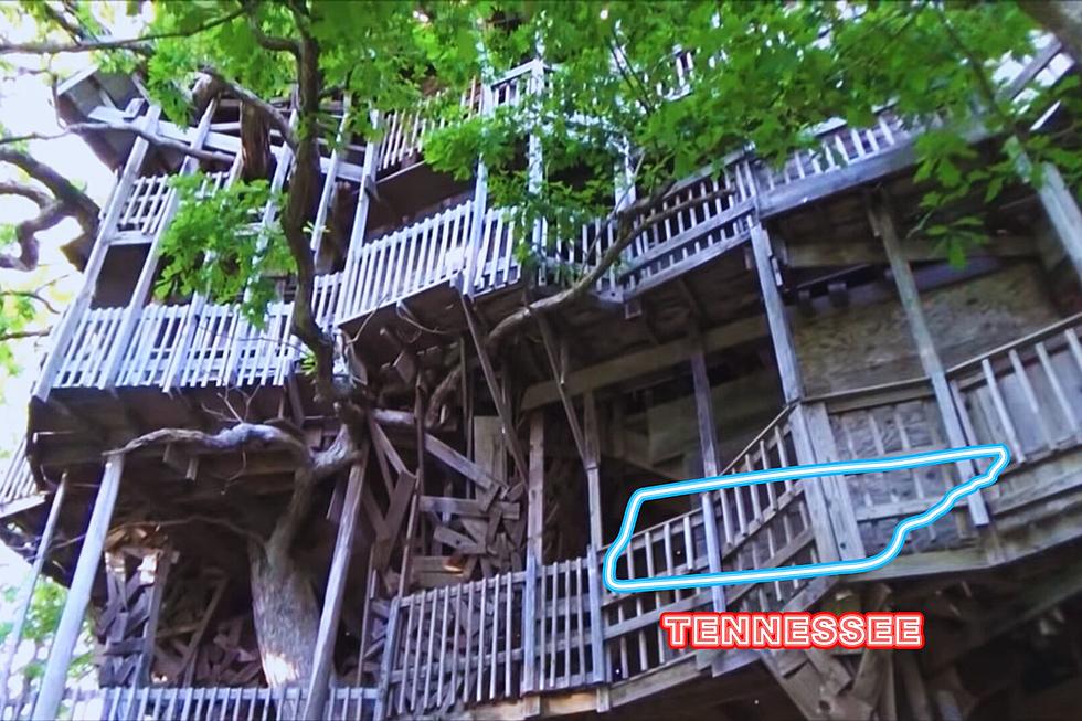 Tennessee Was Once Home to the World’s Largest Treehouse