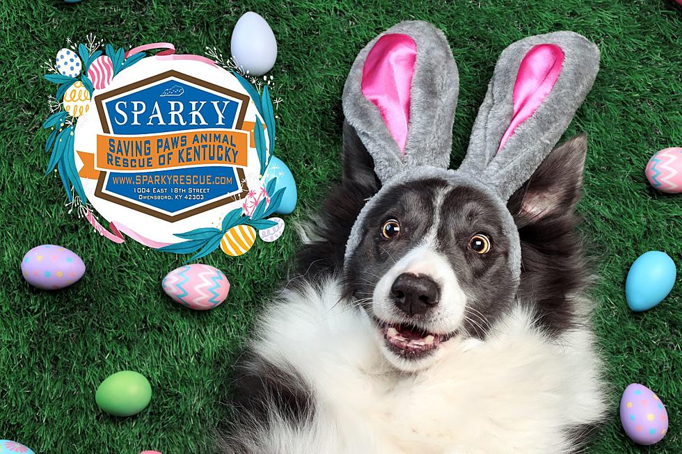 Get Egg-cited! SPARKY Hosting 11th Annual Easter Bone Hunt