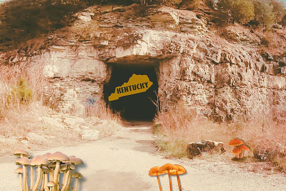 Who Wants to Explore This Creepy Abandoned KY Mushroom Mine?