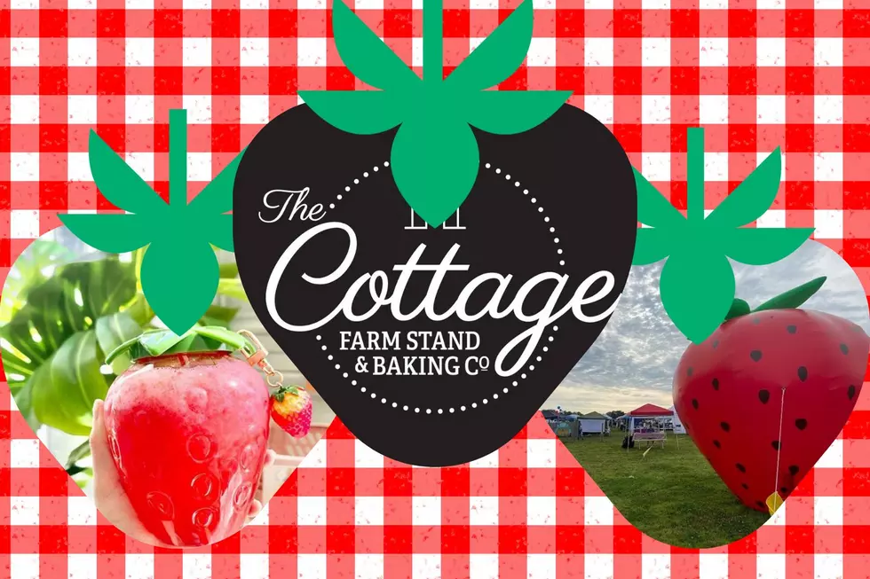 Annual Strawberry Festival Returns to The Cottage in Daviess County