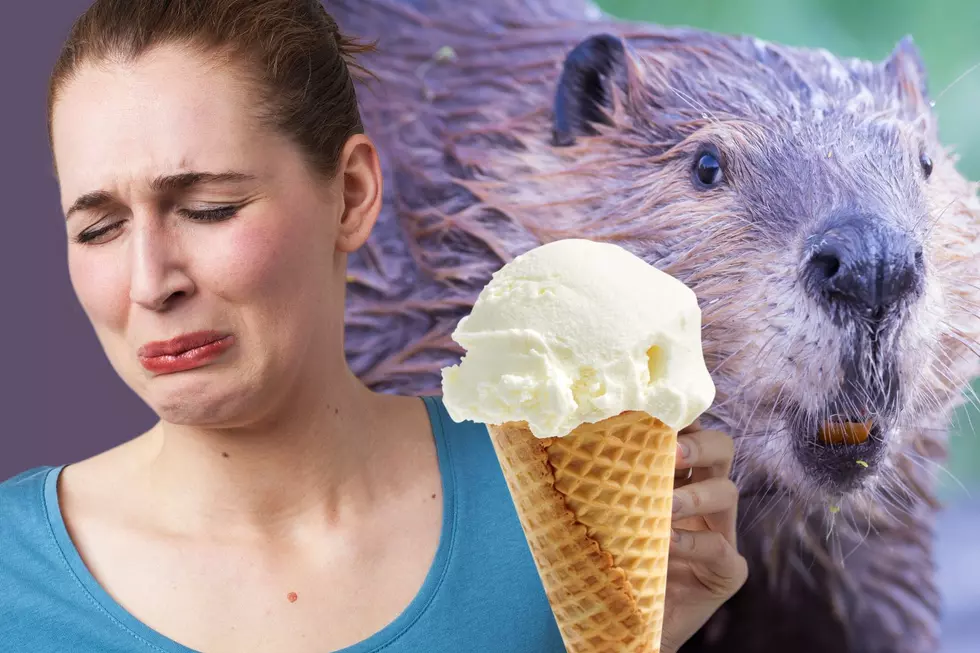 Fact Vs. Fiction; Is Beaver Butt Goo Really in Your Food? 