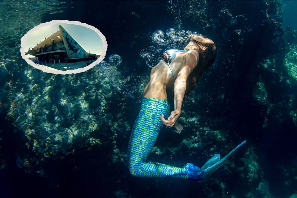 Mermaids Return to Kentucky’s Newport Aquarium in 2024