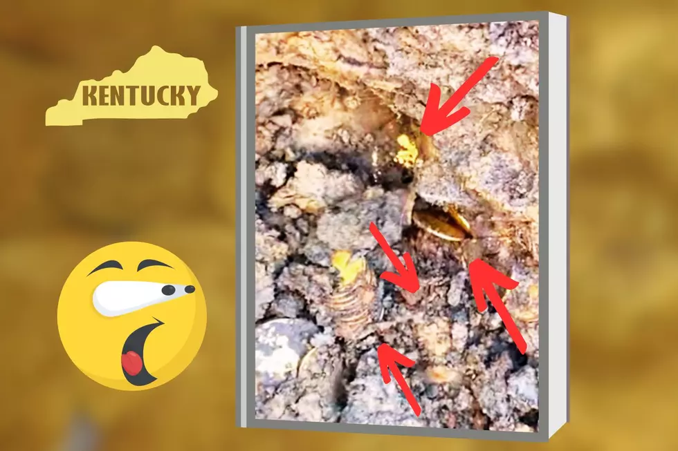 Anonymous KY Farmer Comes Forward About Multi-Million Dollar Gold Coin Discovery