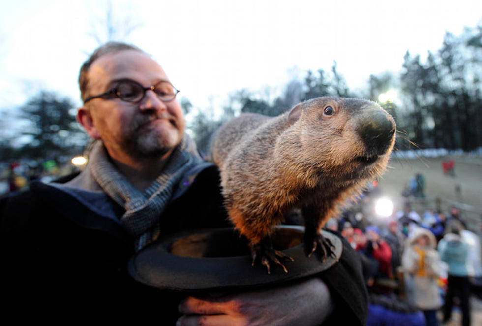 10 Things You Didn’t Know About Groundhog Day