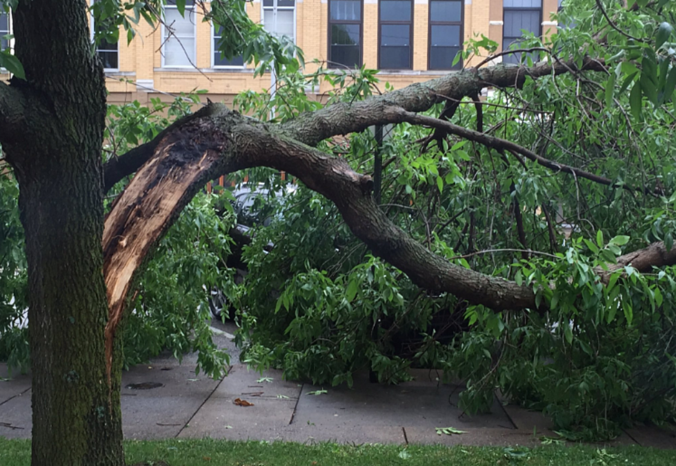 Thursday Storm in Evansville Leaves Thousands Without Power &#8211; American Red Cross Opens Shelter