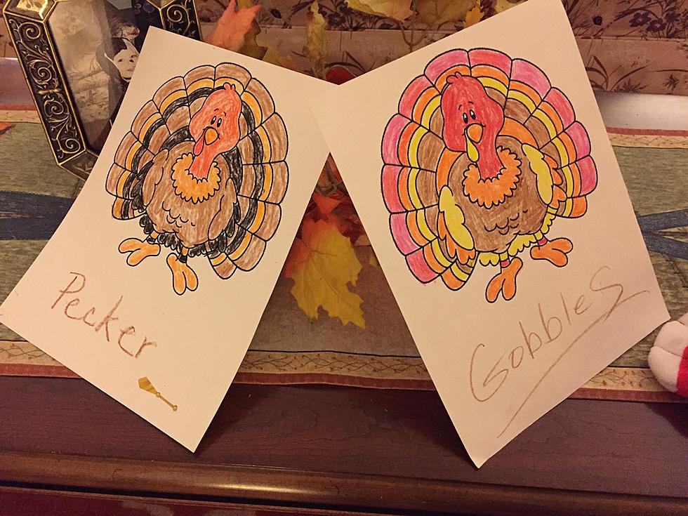 Zoey&#8217;s Thanksgiving Story of Two Turkeys [VIDEO]
