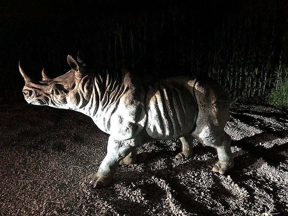 Daviess County Sheriff&#8217;s Dept Finds Lost Rhino in the Road