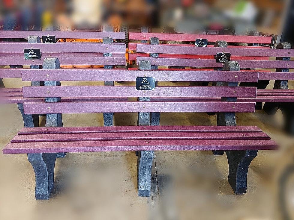 Erica Owen Memorial Purple Benches Delivery This Week