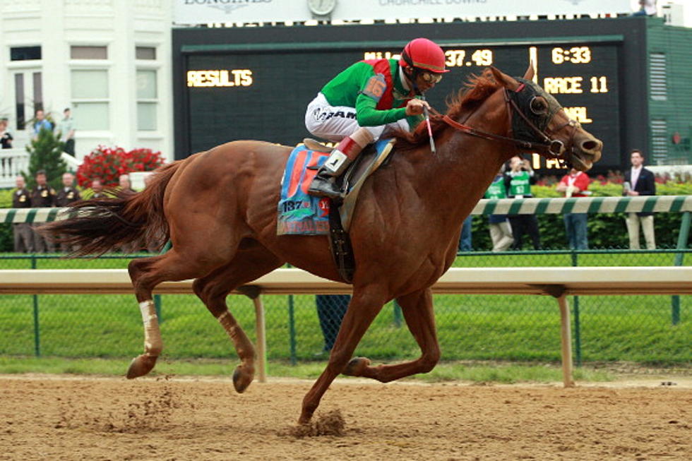 Preakness Preview – An Amateur’s Thoughts and Predictions