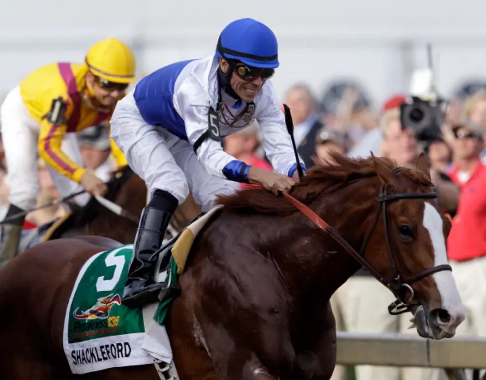 Shackleford Set For Belmont Stakes