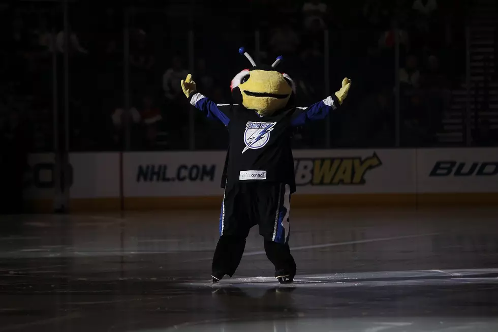 Angry Bruins Fan Attacks Tampa Bay Mascot [VIDEO]