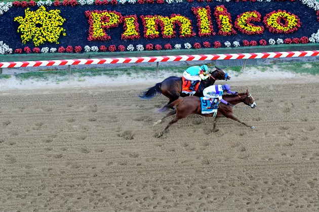 Can Justify Win The Preakness?