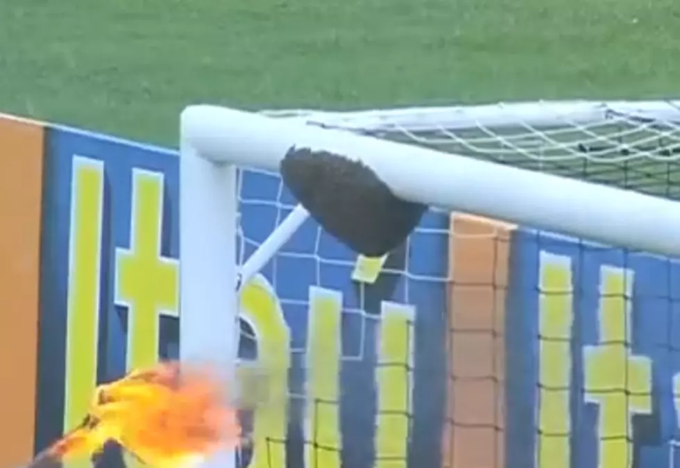 Brazilian Soccer Match Delayed By Swarm Of Bees [VIDEO]