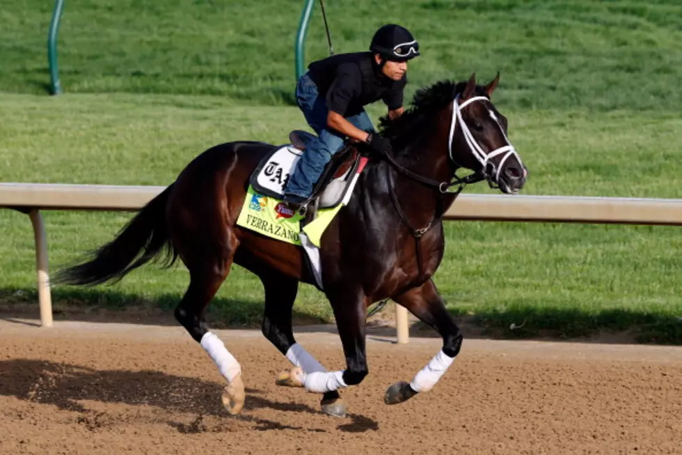 Verrazano Making Play For Horse Of The Year
