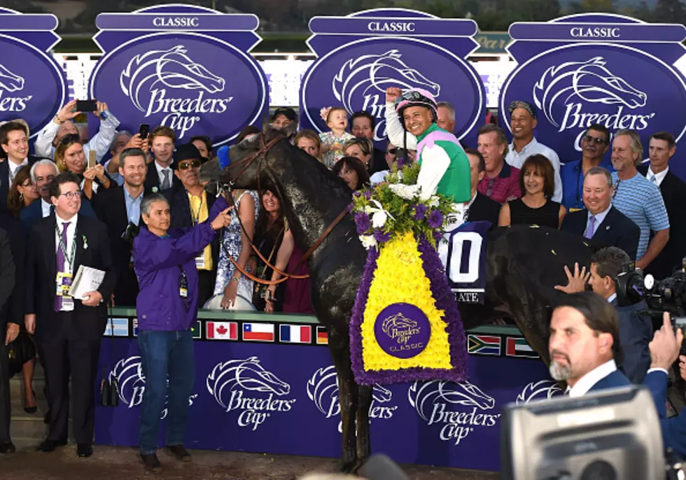 Closer's Saturday Breeders Cup Preview
