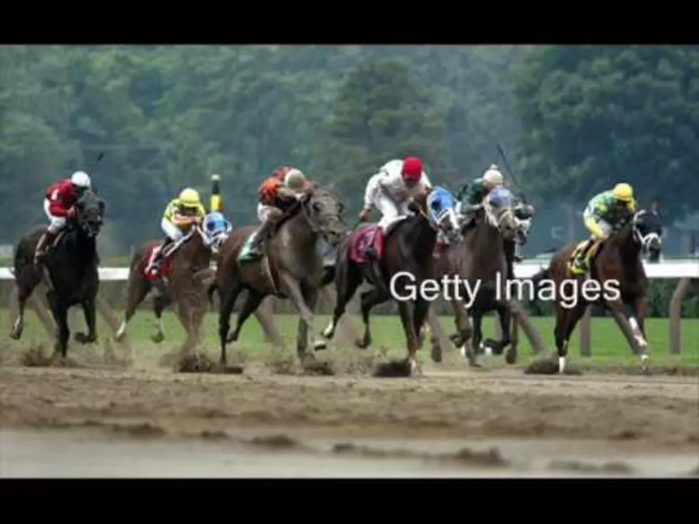 What’s New At Saratoga With Chris Kay [VIDEO]