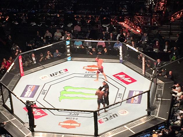 Goz Live From UFC 217 At Madison Square Garden