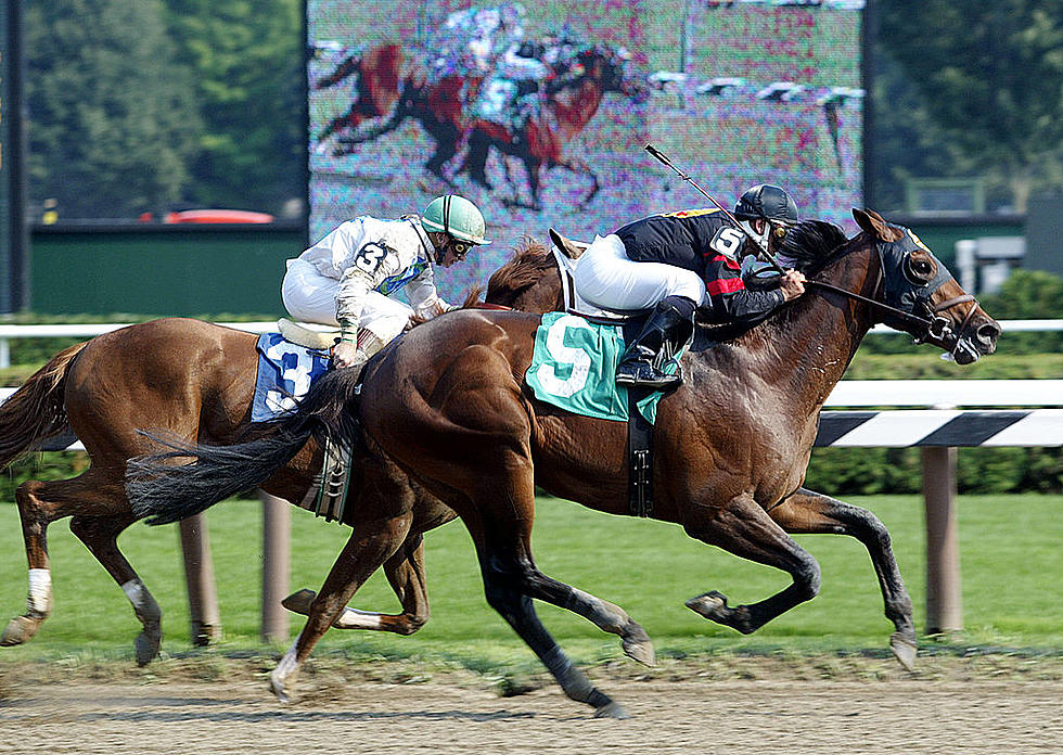 This Escaped Race Horse Might’ve Been Running to Saratoga [WATCH]