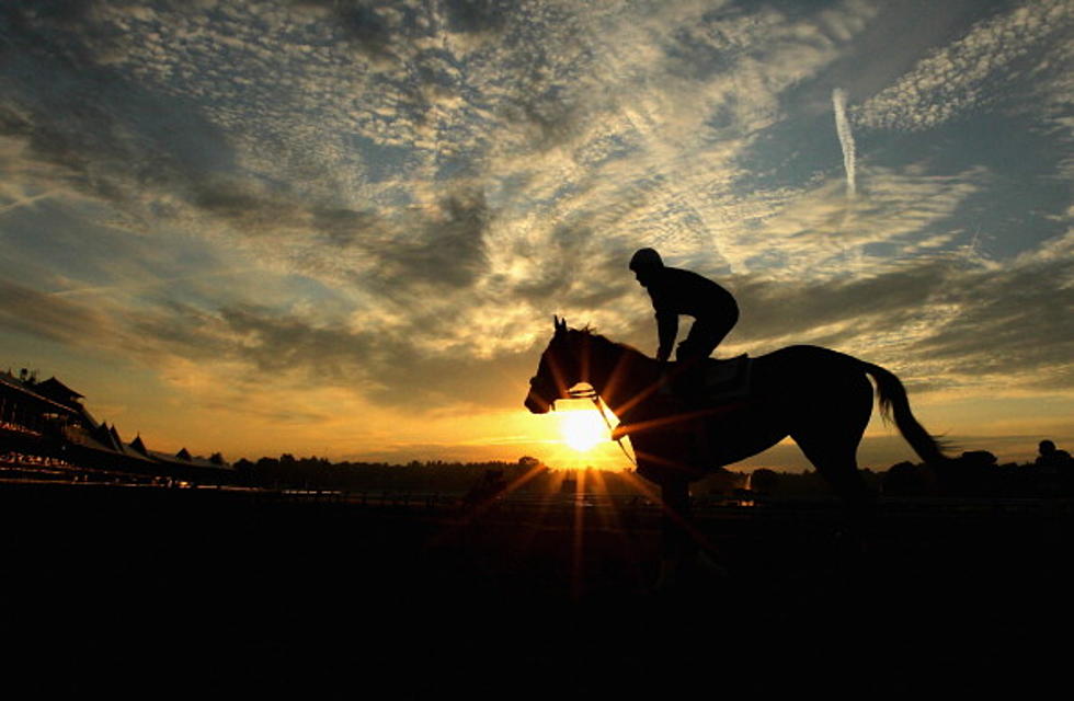 Favorite Fourstardave Highlights Saratoga Weekend