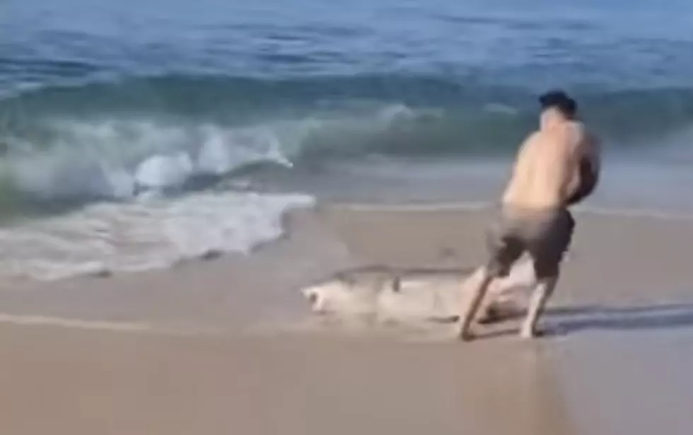 Man Wrestles Shark On New York Beach