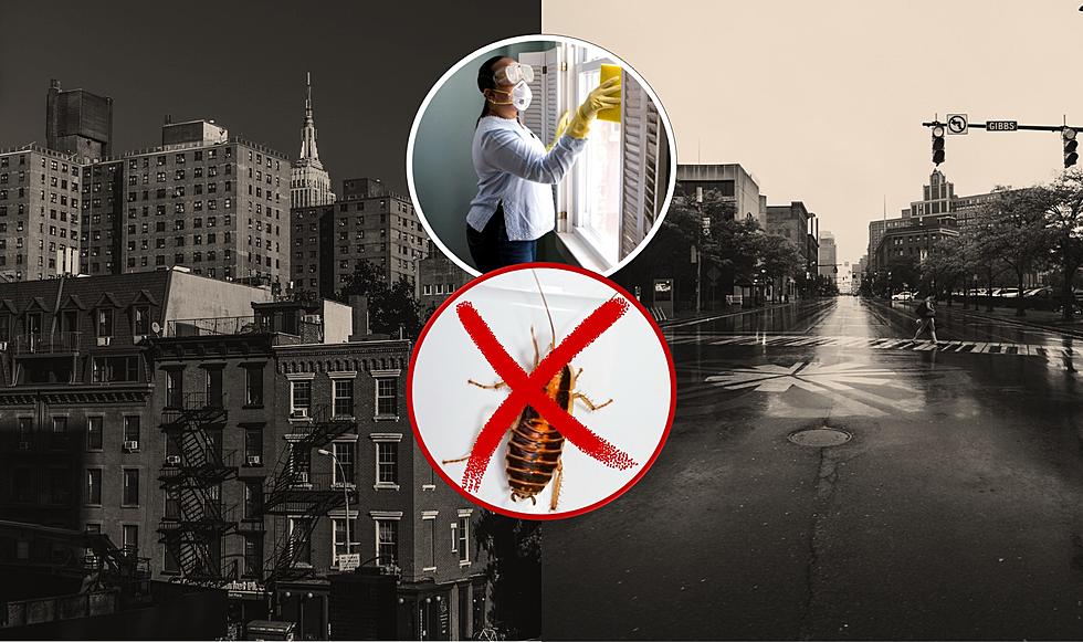 These Two New York Cities are Among the Top ‘Roach-Infested’ in America