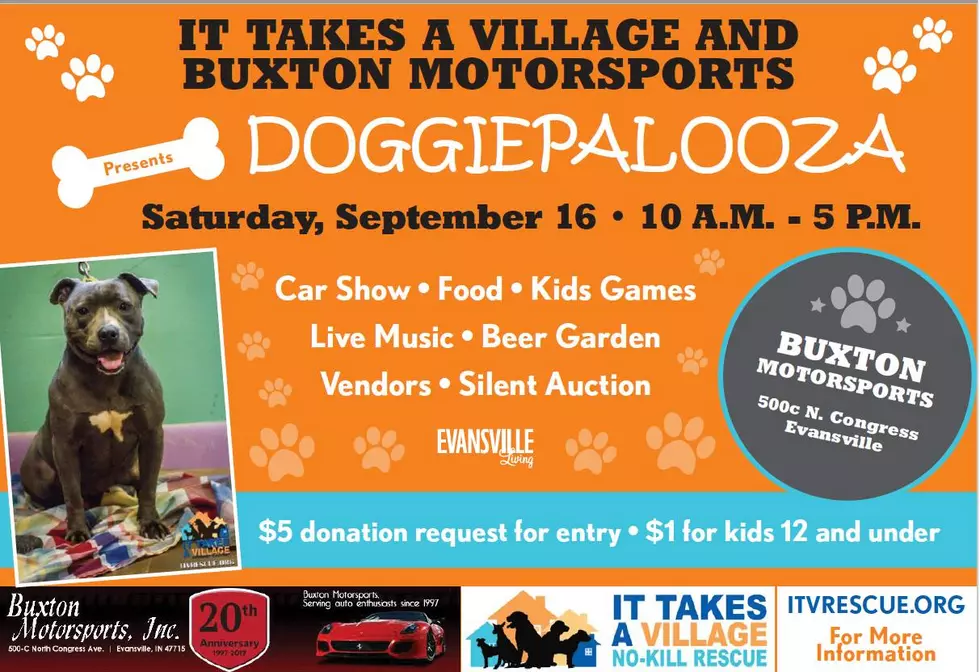 &#8216;Doggiepalooza&#8217; This Saturday With It Takes a Village Canine Rescue