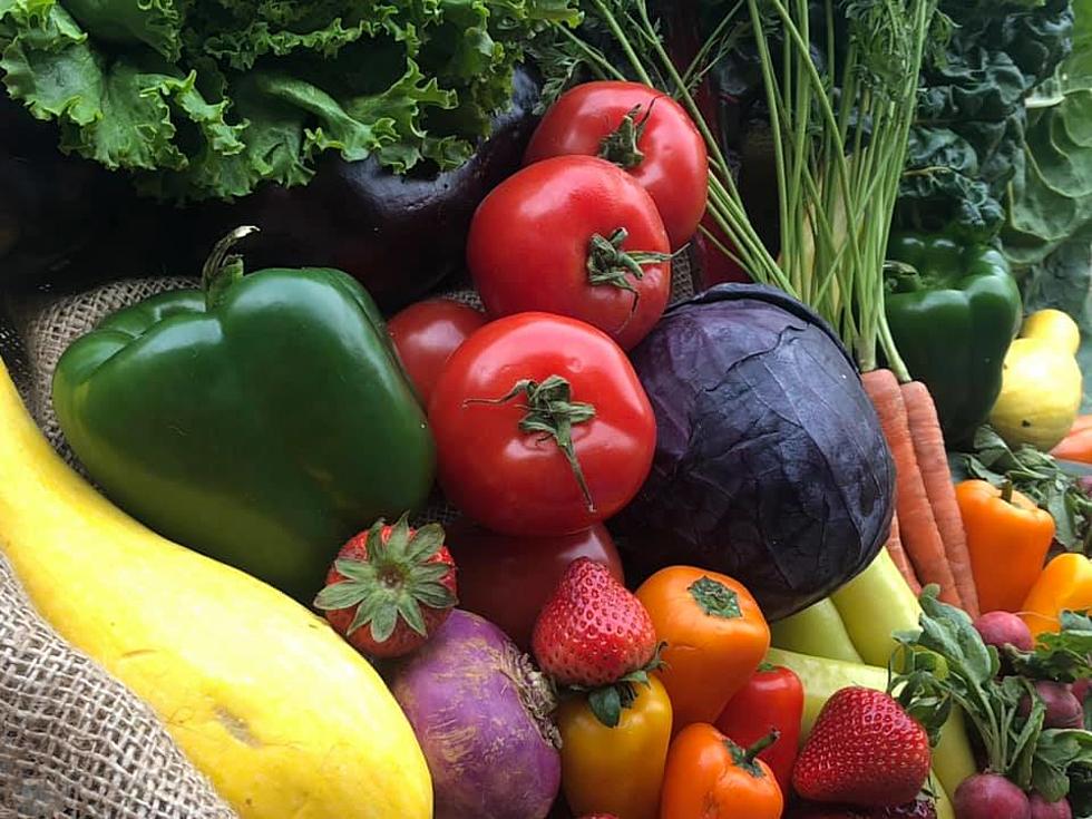 Evansville Farm and Church Provide FREE Produce for Community
