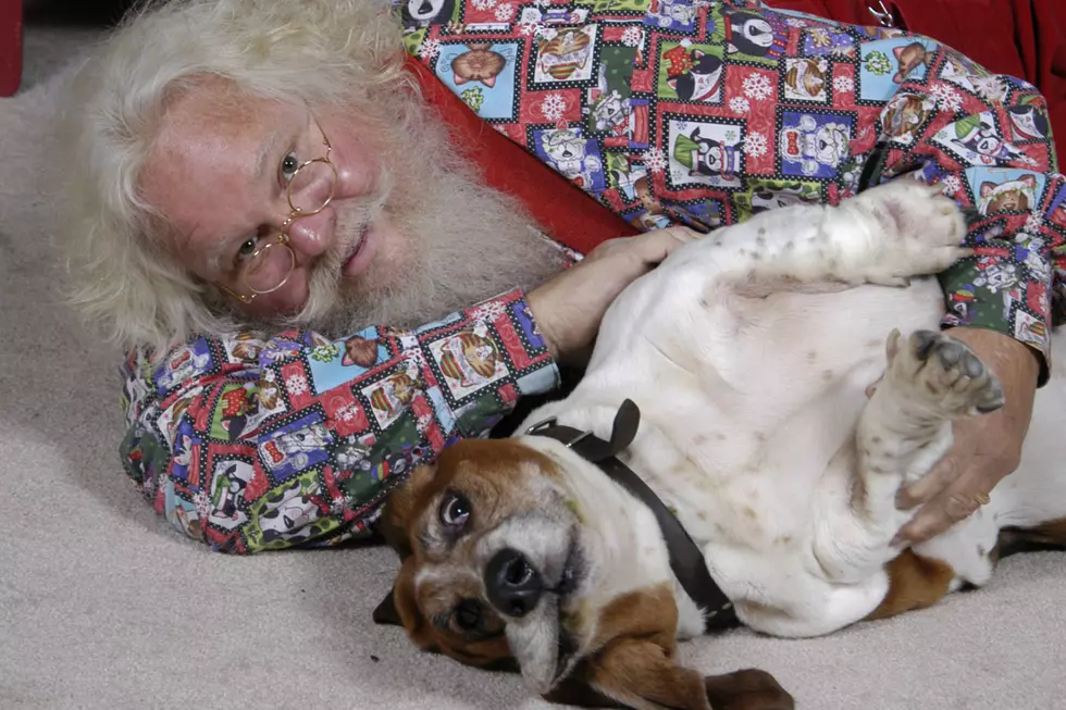 VHS Presents 34th Annual ‘Pet Pictures With Santa’ This Weekend