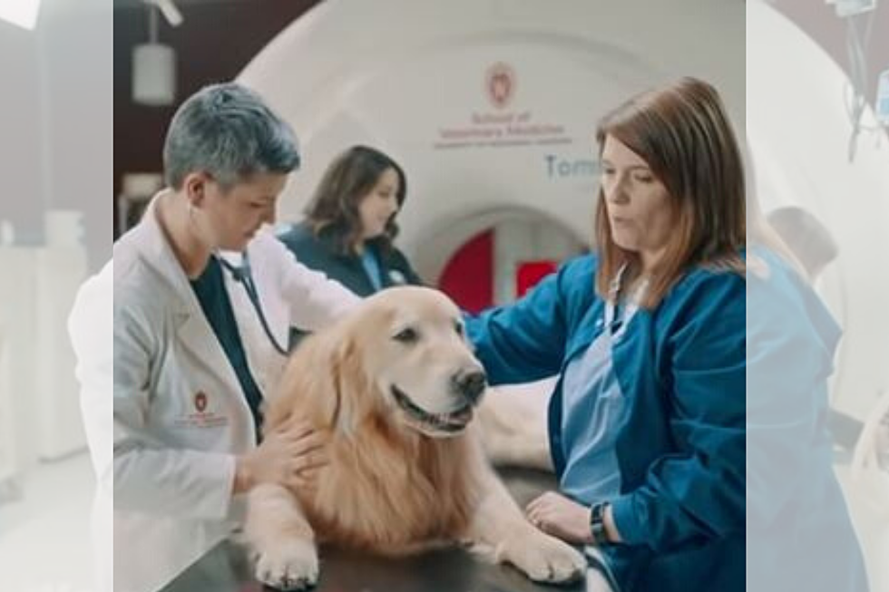 Man Buys Super Bowl Ad Thanking Vet School for Saving Dog’s Life