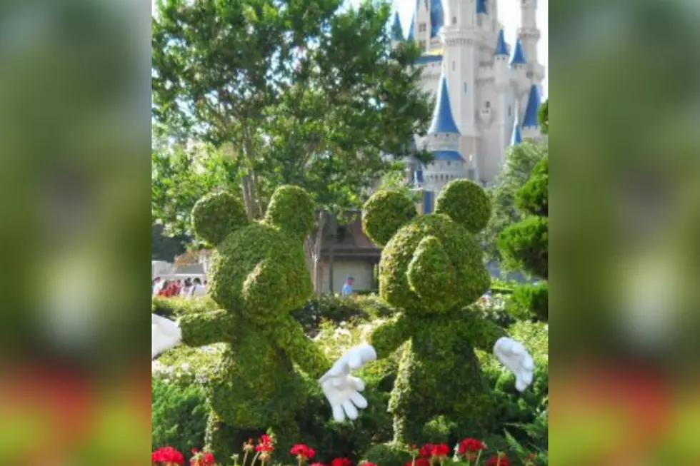 Missing Disney? Ride Walt Disney World Attractions Virtually
