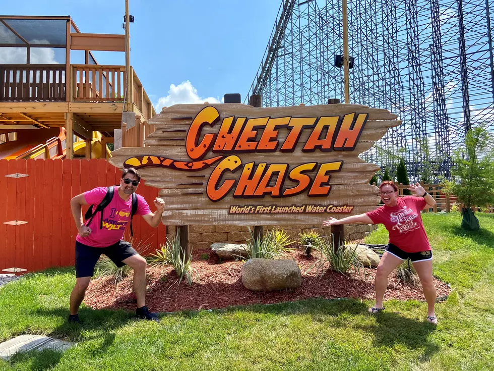 [POV Video] Cheetah Chase at Holiday World & Splashin’ Safari
