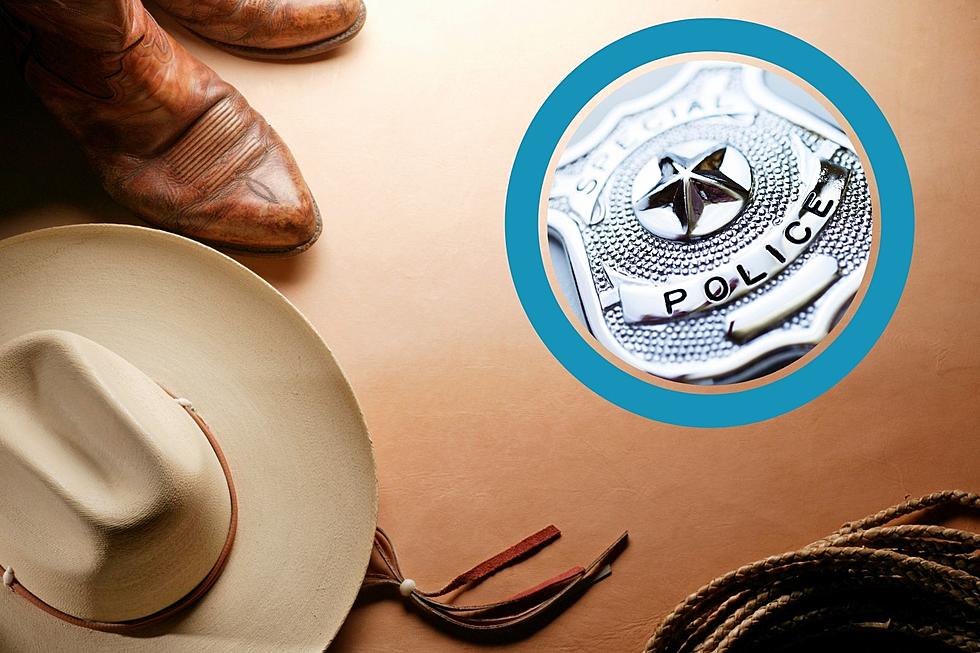 You're Invited to the 'Happy Trails' Themed 2021 Policeman's Ball