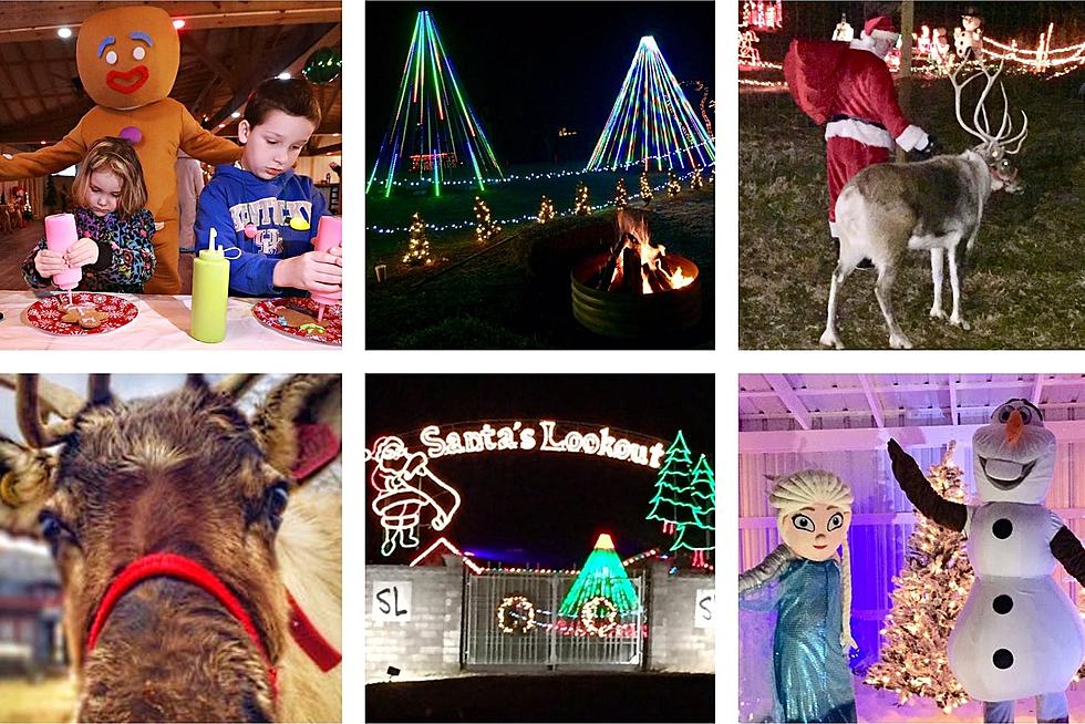 This 10-Acre Holiday Drive-Thru Interactive Experience in Kentucky is Unforgettable (GALLERY)