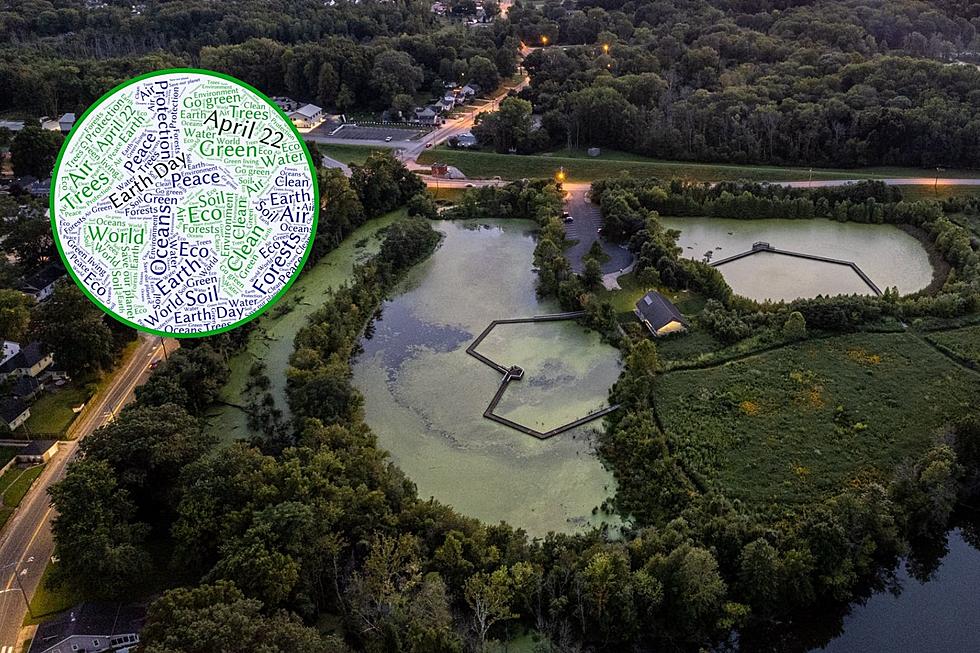 Explore Howell Wetlands During FREE Earth Day Celebration