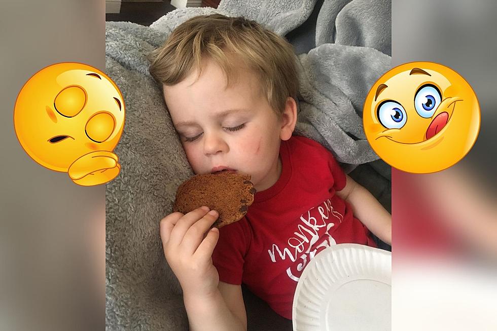 Little Fella Struggling to Stay Awake Long Enough to Eat a Cookie is How We All Feel Today