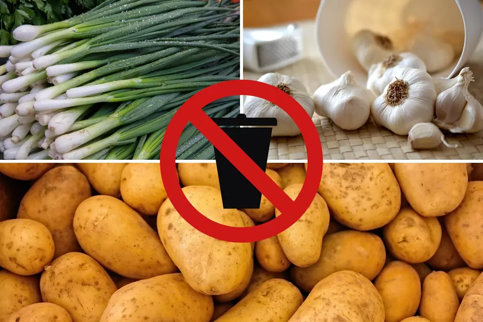 Save Some Cash With These Scraps – 15 Foods You Can Easily Regrow