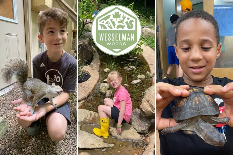 Kids Can Apply to Be "Nature Play Directors" at Wesselman Woods