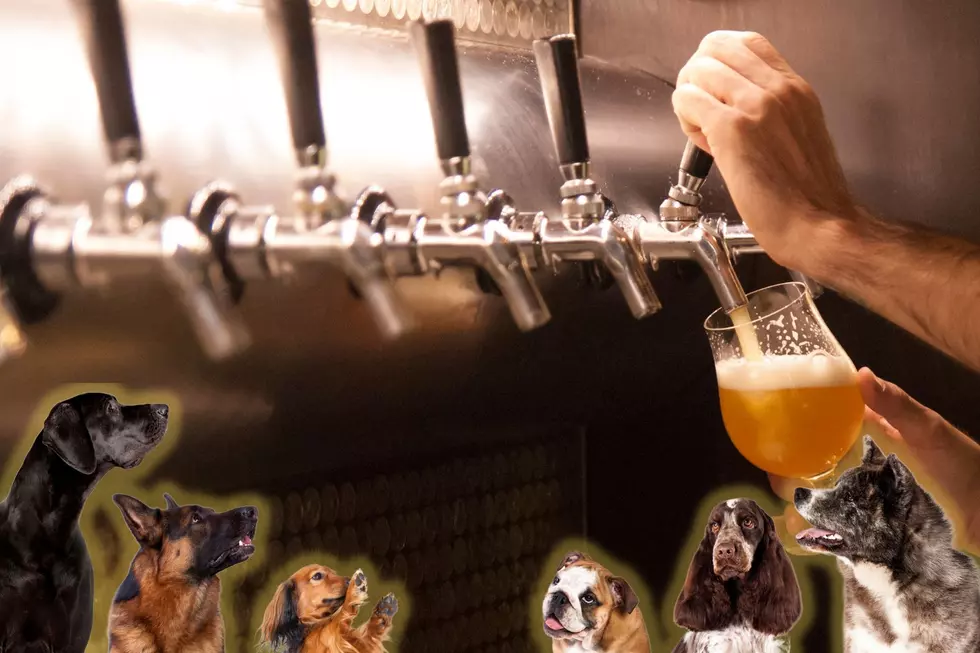 Evansville, Indiana’s First Dog Bar & Cafe’ Unleashed Set to Open 2023