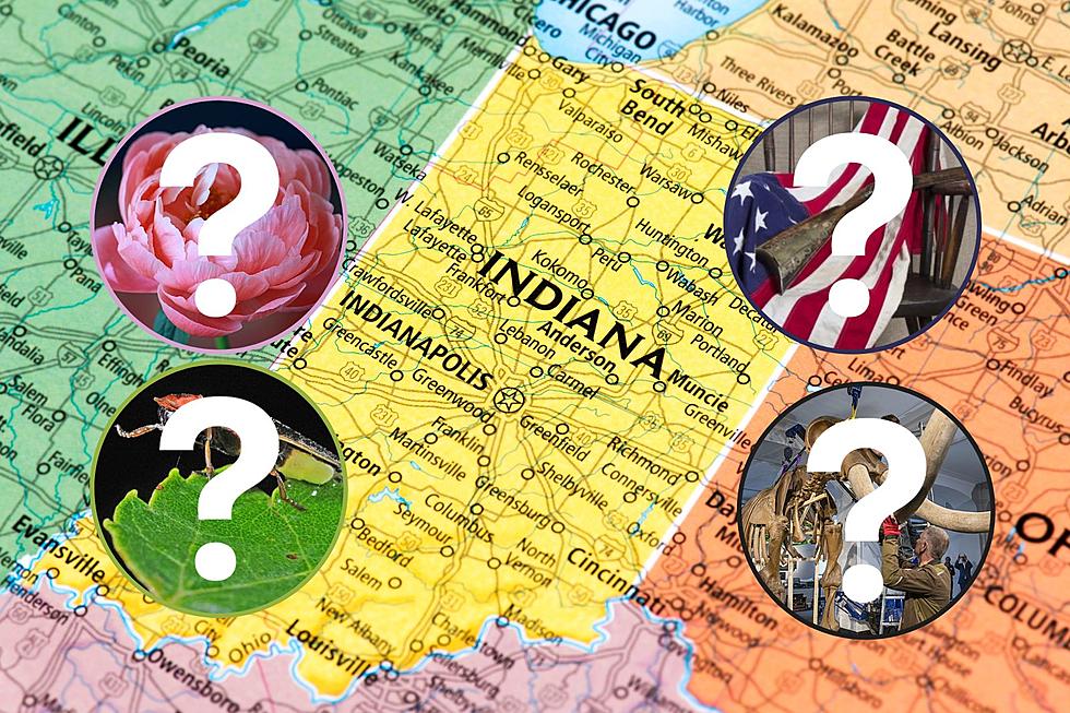 Test Your Knowledge of These 18 Indiana State Symbols