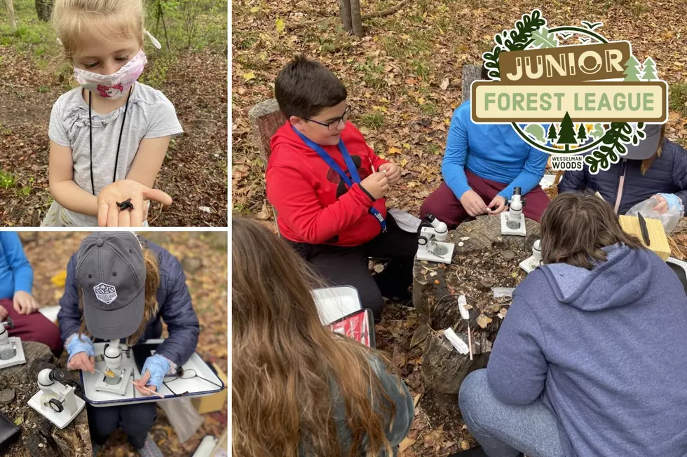 Kiddos Can Join the "Junior Forest League" at Wesselman Woods