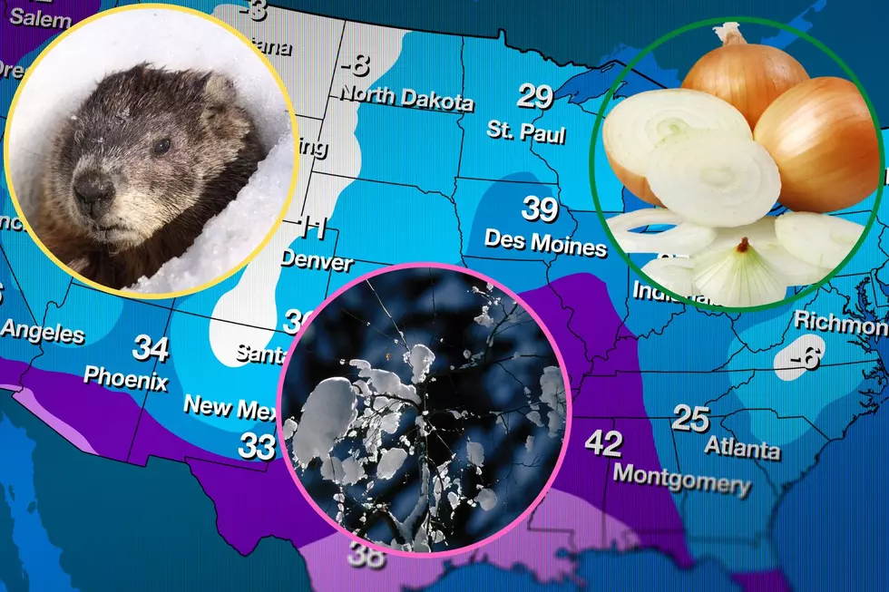 Can Sticks, Animals, & Onions Really Predict the Indiana Weather?