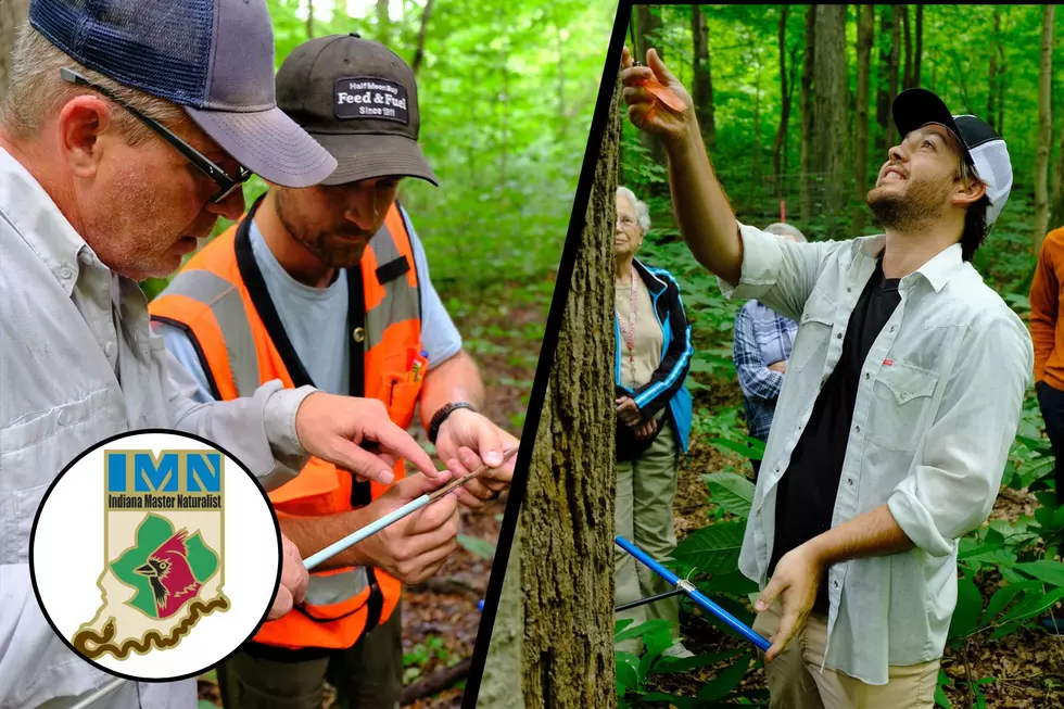 Love the Outdoors? Here’s How You Can Become a Certified Indiana Master Naturalist