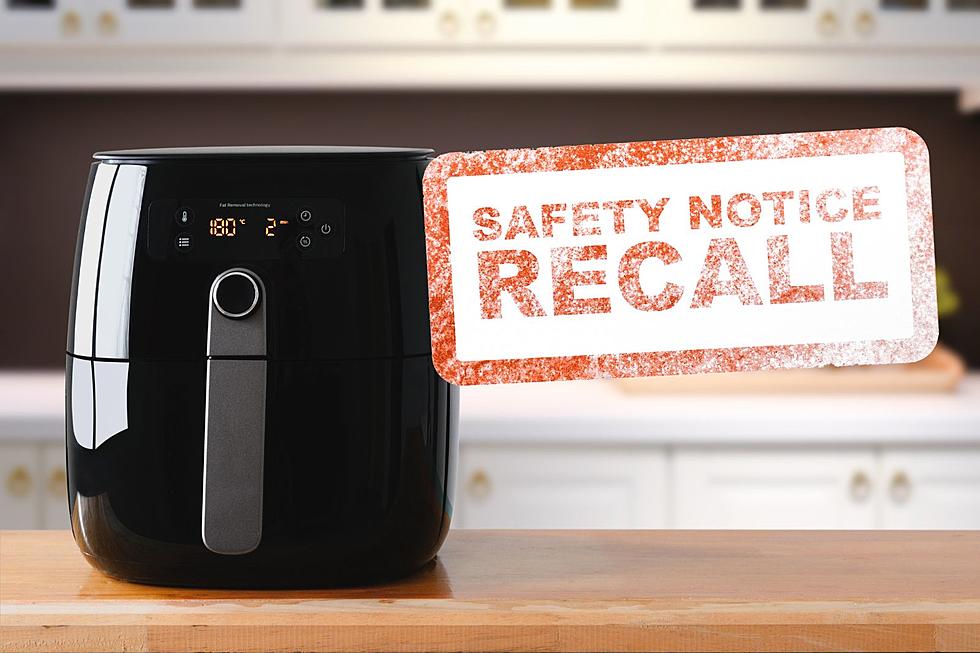 Hoosiers: What to Do if Your Air Fryer is on the 2023 Recall List